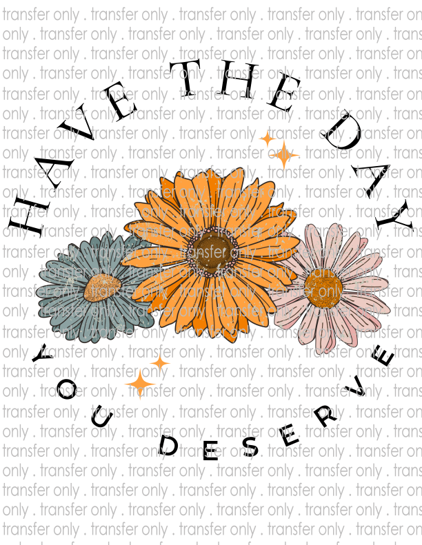 Have The Day You Deserve - Waterslide, Sublimation Transfers