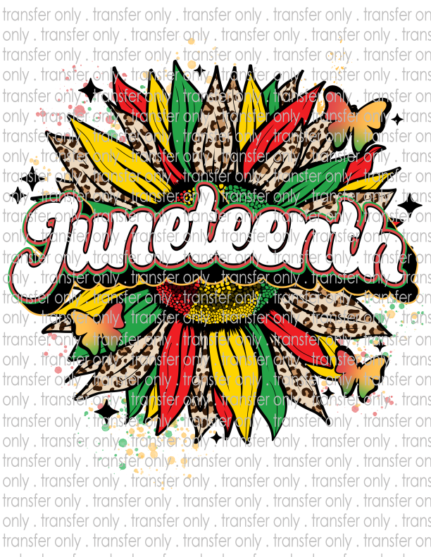 Juneteenth - Waterslide, Sublimation Transfers