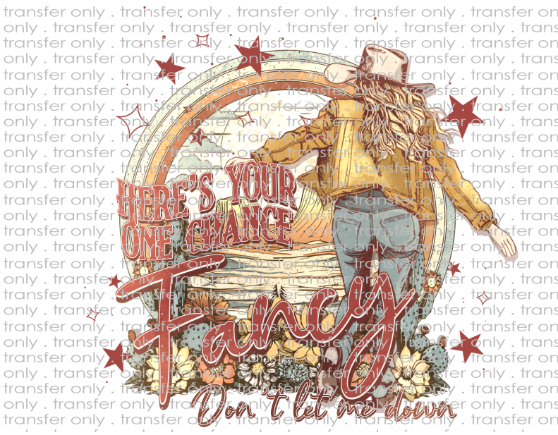 Here's Your One Chance Fancy - Waterslide, Sublimation Transfers