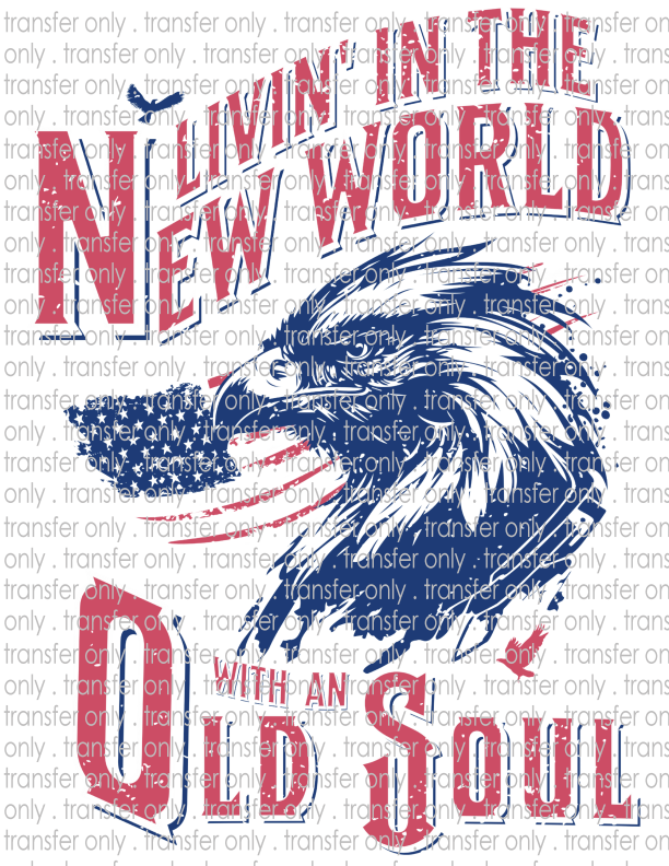 Livin' In the New World With An Old Soul - Waterslide, Sublimation Transfers