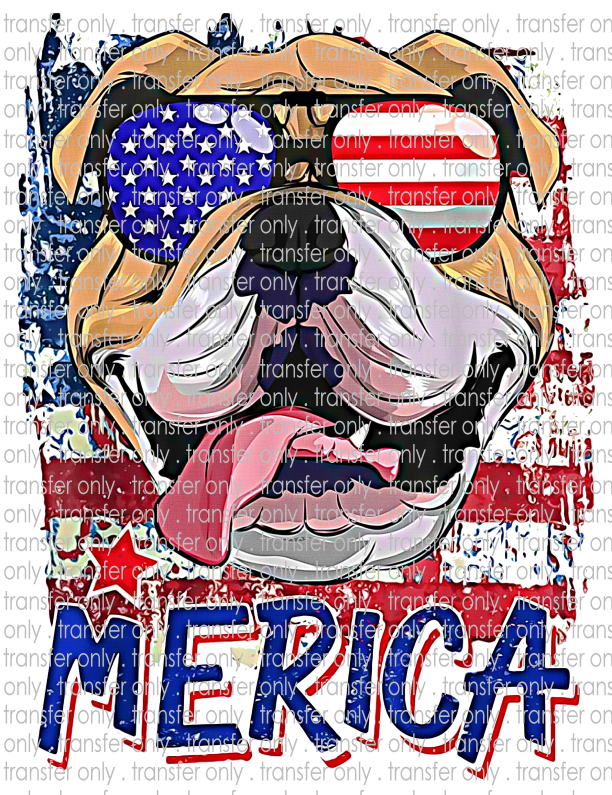 Patriotic Dog - Waterslide, Sublimation Transfers