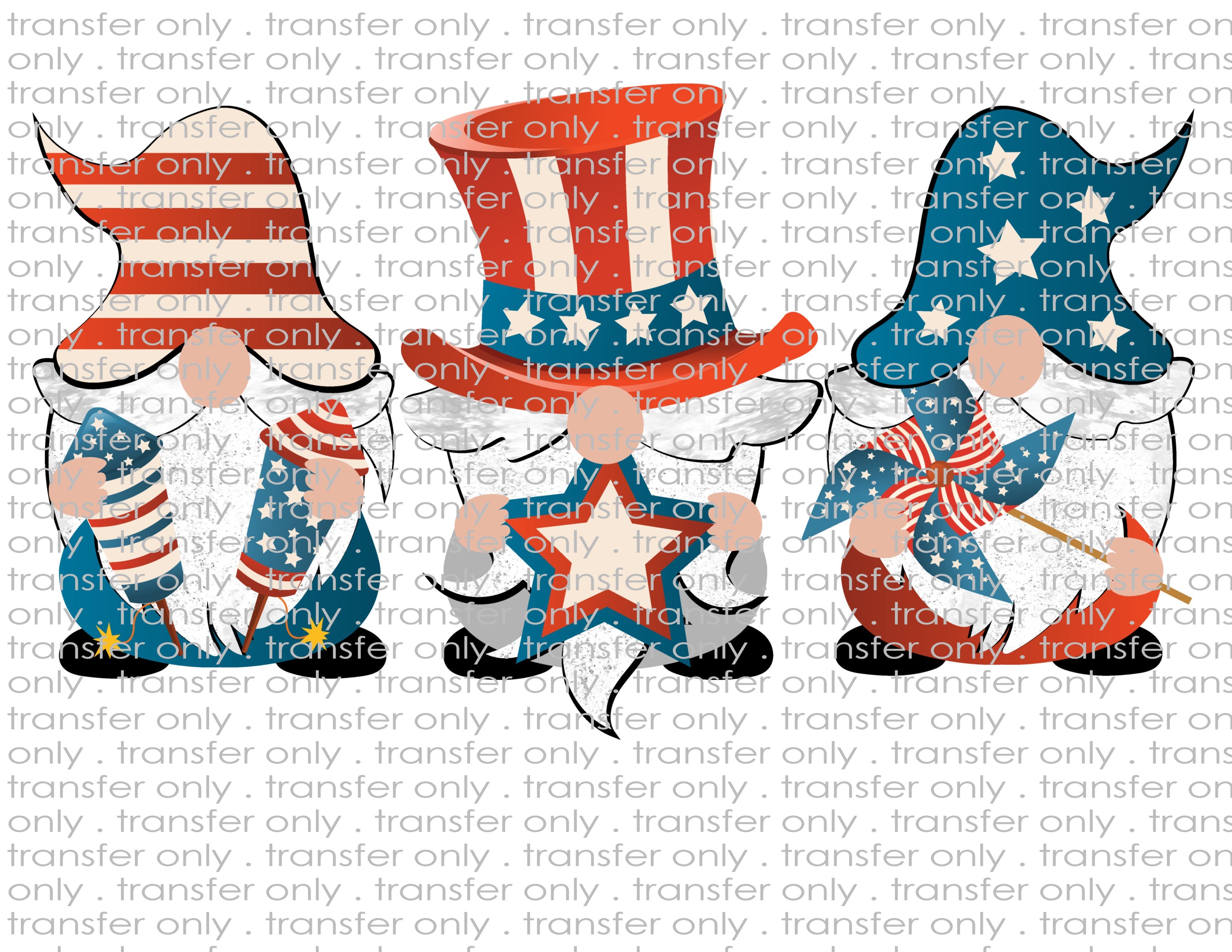 American Gnomes - Waterslide, Sublimation Transfers