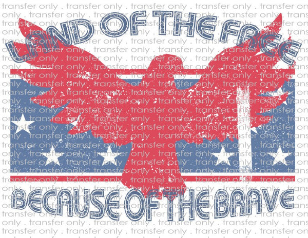 Land of The Free Retro - Waterslide, Sublimation Transfers