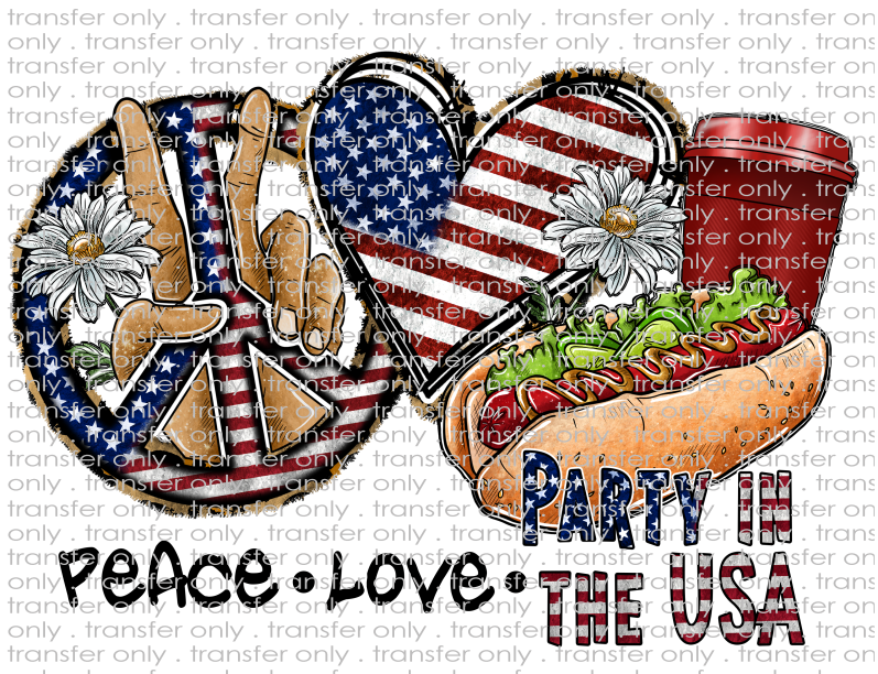Peace Love Party in the USA - Waterslide, Sublimation Transfers