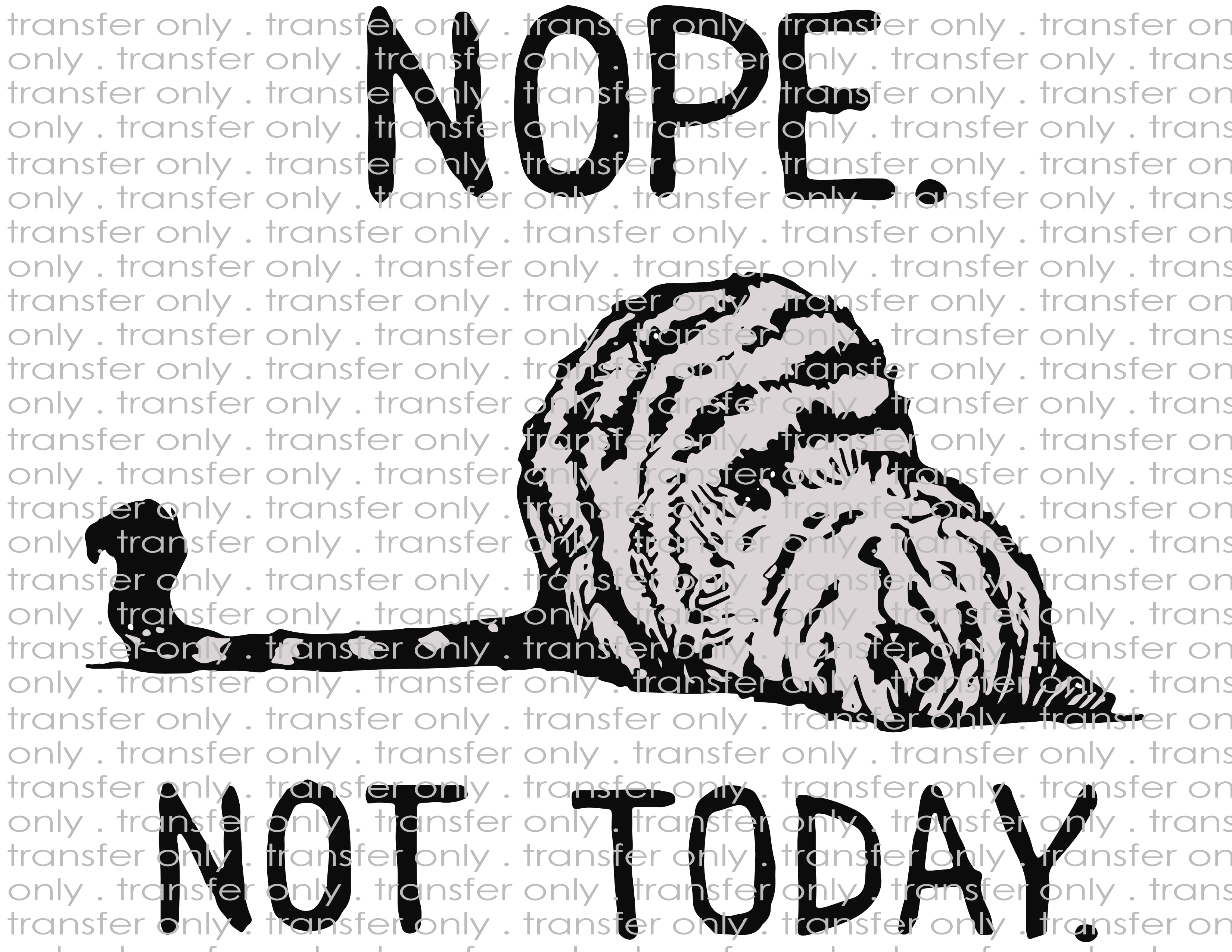 Not Today - Waterslide, Sublimation Transfers