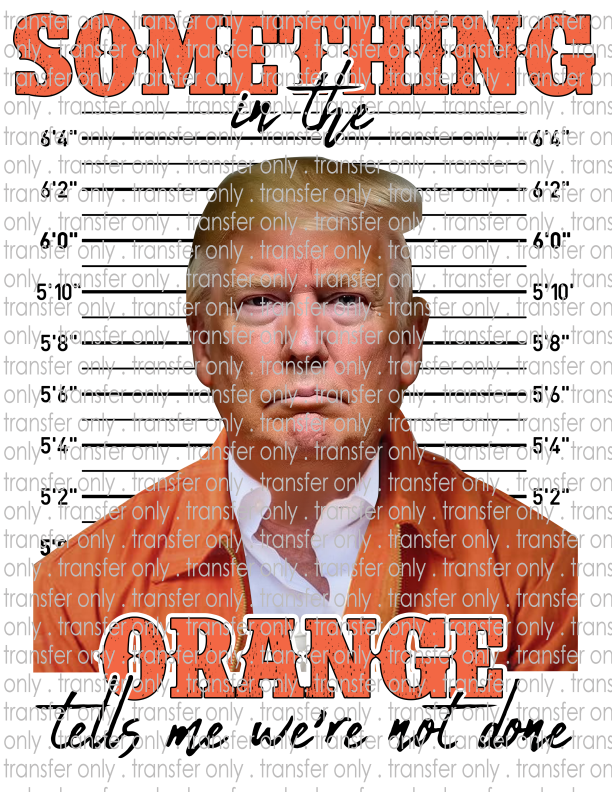 Something In The Orange Tells Me We Ain't Done - Waterslide, Sublimation Transfers