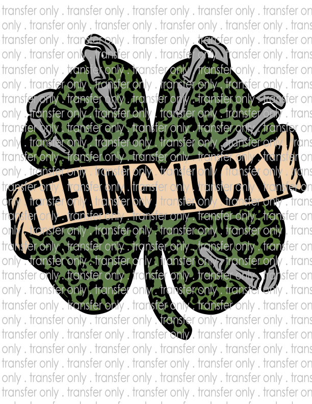 Feeling Lucky - Waterslide, Sublimation Transfers