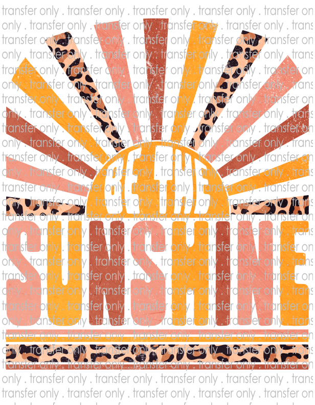 Be The Sunshine - Waterslide, Sublimation Transfers