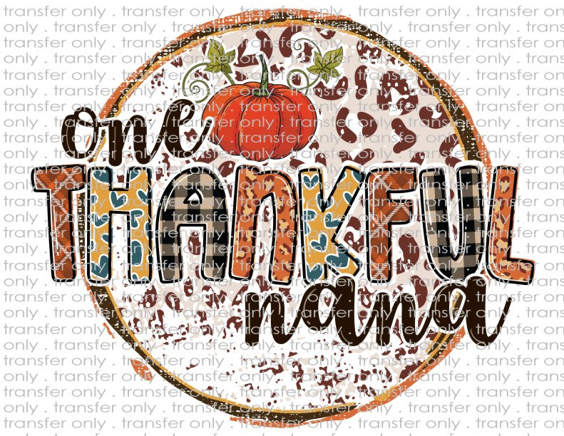 Thankful Nana - Waterslide, Sublimation Transfers