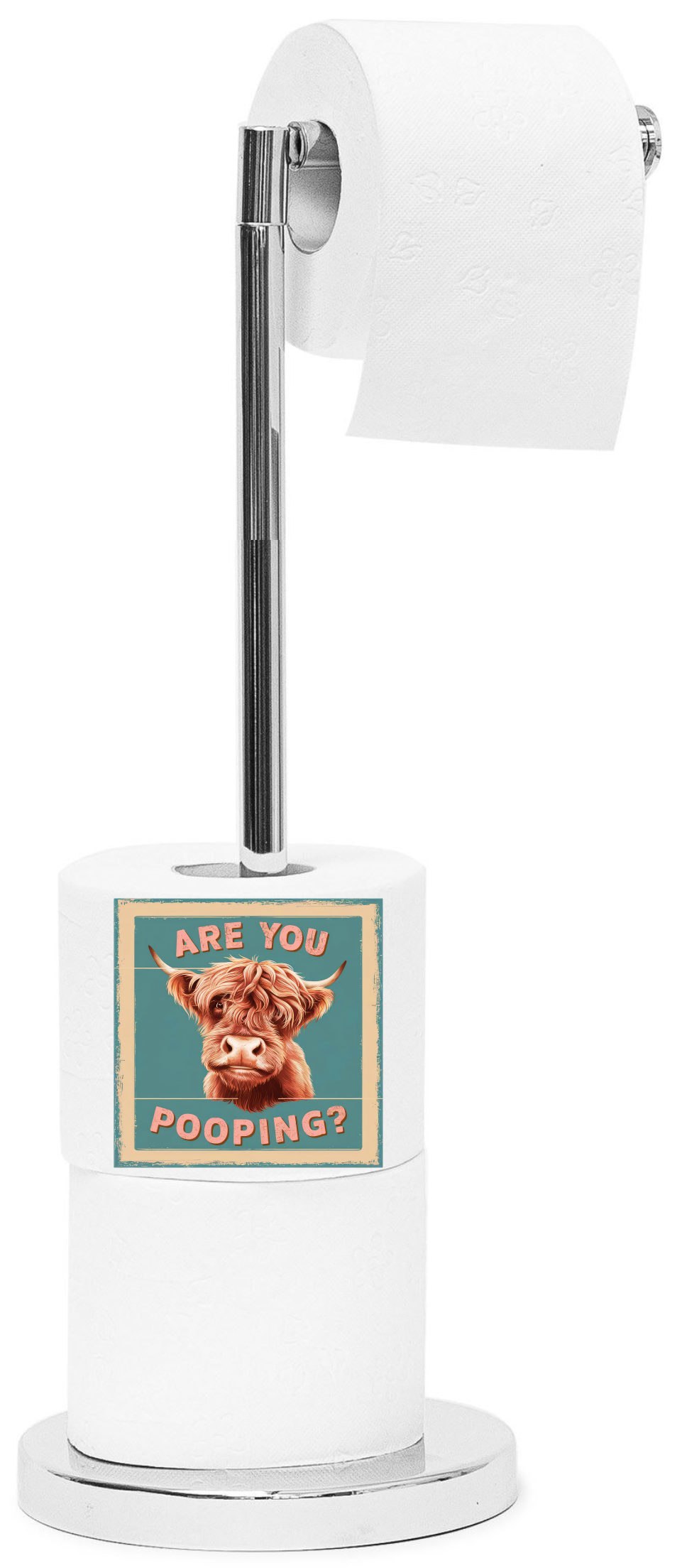 Shaggy Co - Are You Pooping - Sublimation Transfer