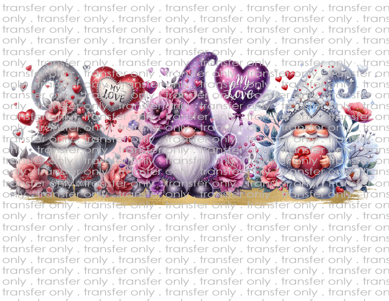 Valentine Gnomes - Waterslide, Sublimation Transfers