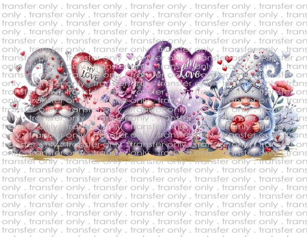 Valentine Gnomes - Waterslide, Sublimation Transfers