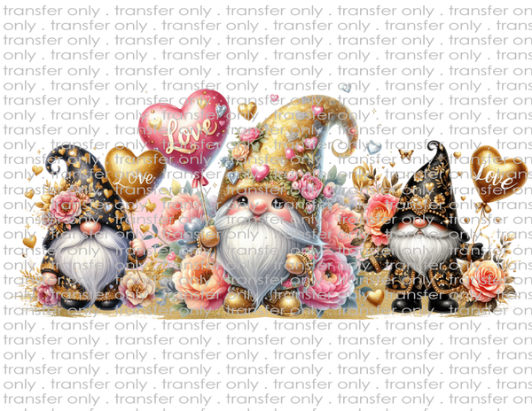 Valentine Gnomes - Waterslide, Sublimation Transfers