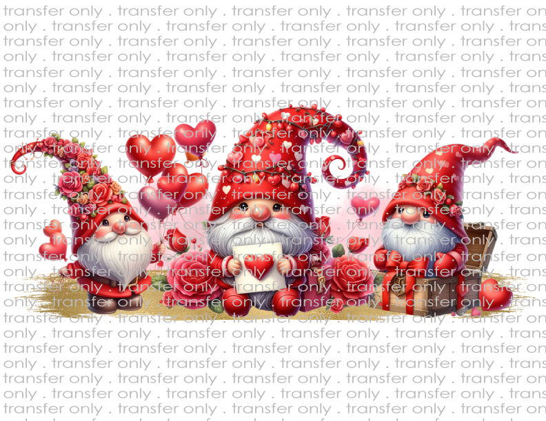 Valentine Gnomes - Waterslide, Sublimation Transfers