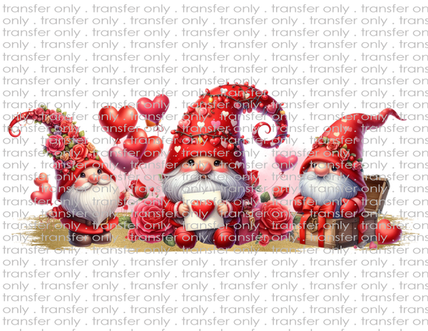 Valentine Gnomes - Waterslide, Sublimation Transfers