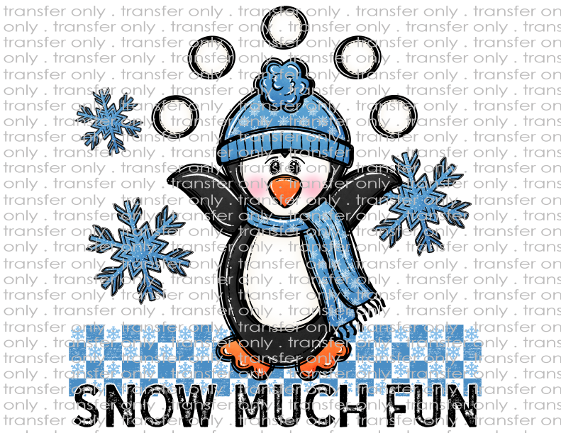 Snow Much Fun - Waterslide, Sublimation Transfers