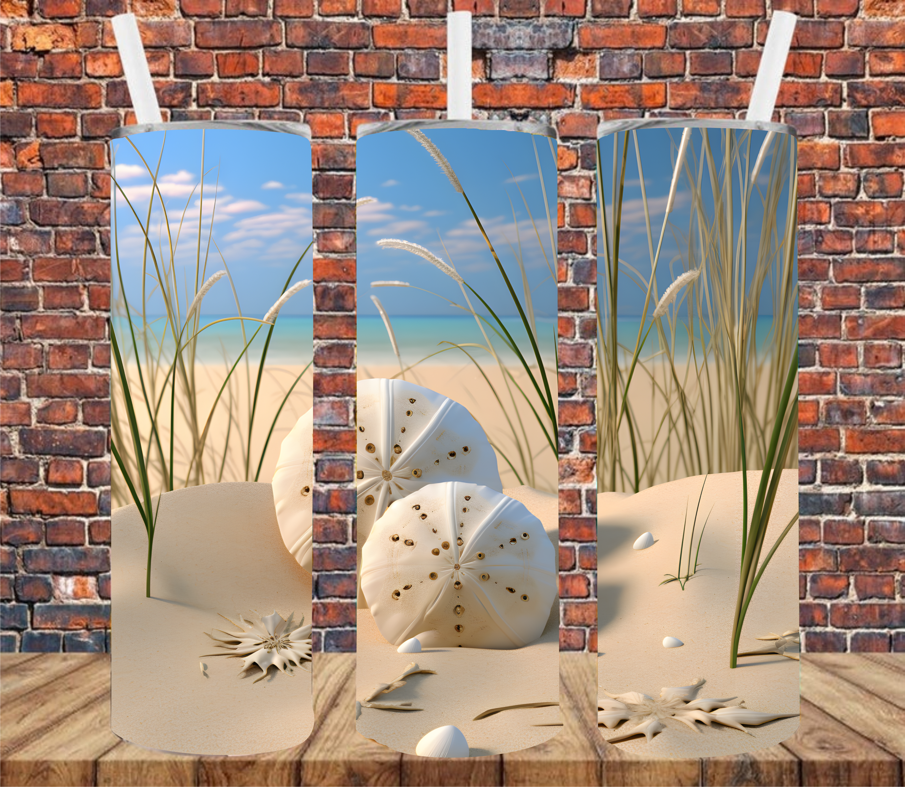 Sand Dollars - Tumbler Wrap - Sublimation Transfer